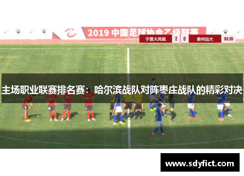 主场职业联赛排名赛：哈尔滨战队对阵枣庄战队的精彩对决